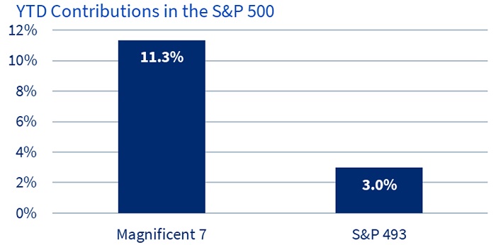 diversification when market cap 1